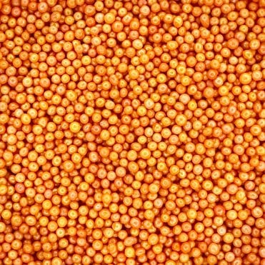 100s and 1000s - Glimmer - Orange