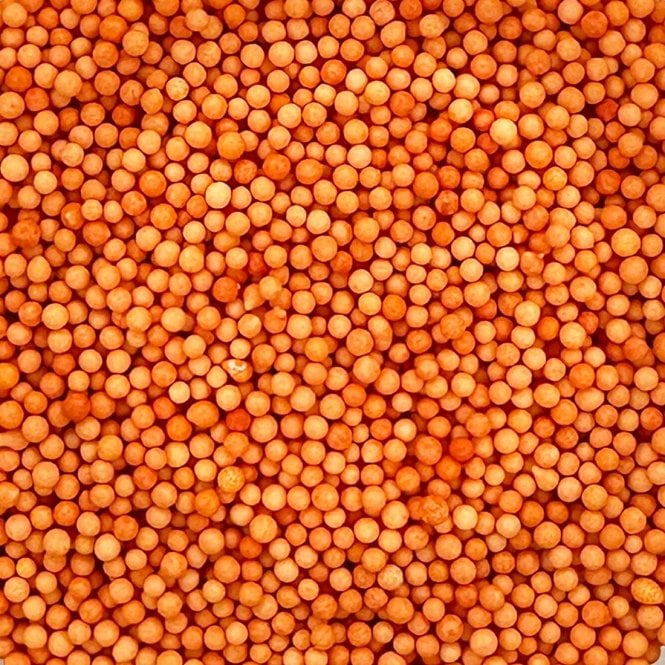 100s and 1000s - Matt - Orange