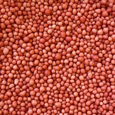 100s and 1000s - Matt - Red (Z)