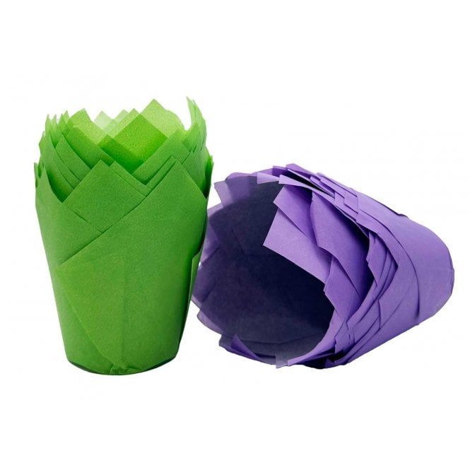 Muffin Tulips - Mixed - Green and Purple