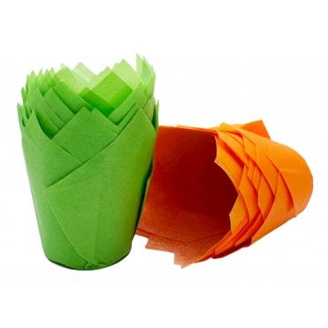 Muffin Tulips - Mixed - Orange and Green