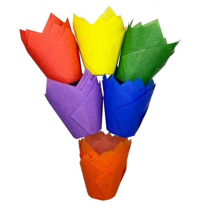 Muffin Tulips - Mixed - Pride