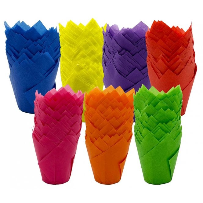 Muffin Tulips - Mixed - Rainbow