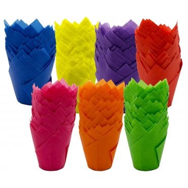 Muffin Tulips - Mixed - Rainbow