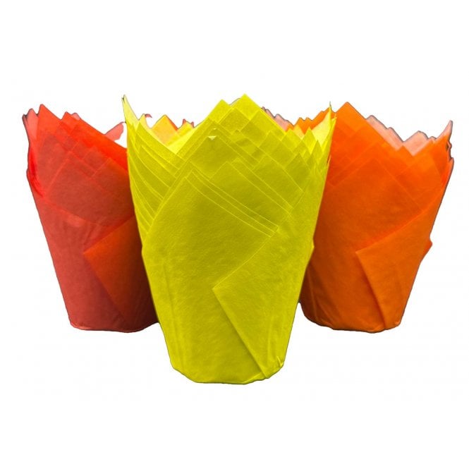 Muffin Tulips - Mixed - Warm Mix
