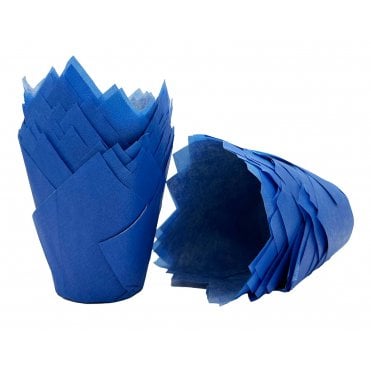 Muffin Tulips - Plain - Blue