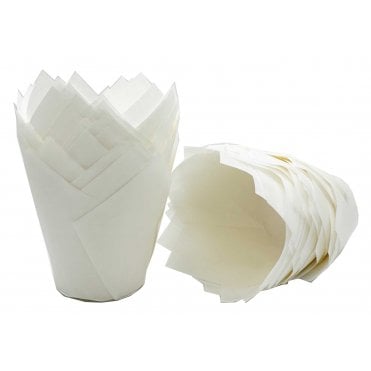 Muffin Tulips - Plain - White