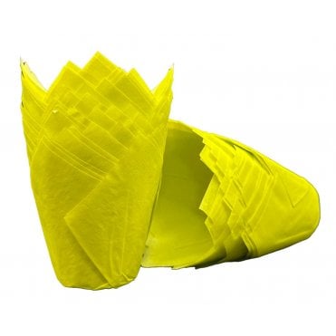 Muffin Tulips - Plain - Yellow